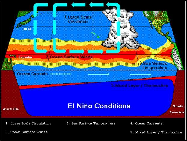 activity, thus reducing the potential for precipitation. There is also, by extension, a tendency for reduced hurricane activity during El Niño events (see Section 4.7).