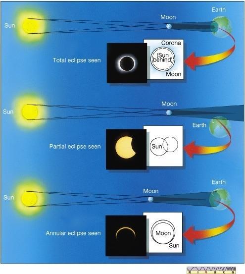 Lunar Eclipses When the moon moves through the umbra, a total lunar eclipse