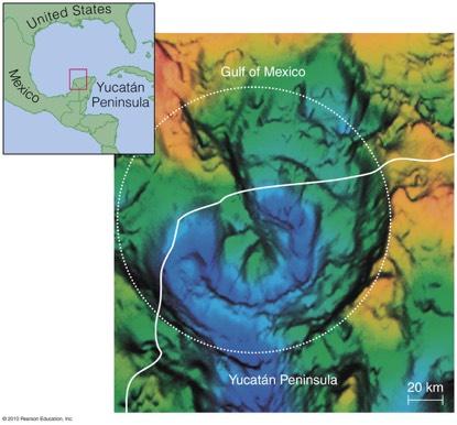 Likely Impact Site Geologists have found a large subsurface crater about 65 million
