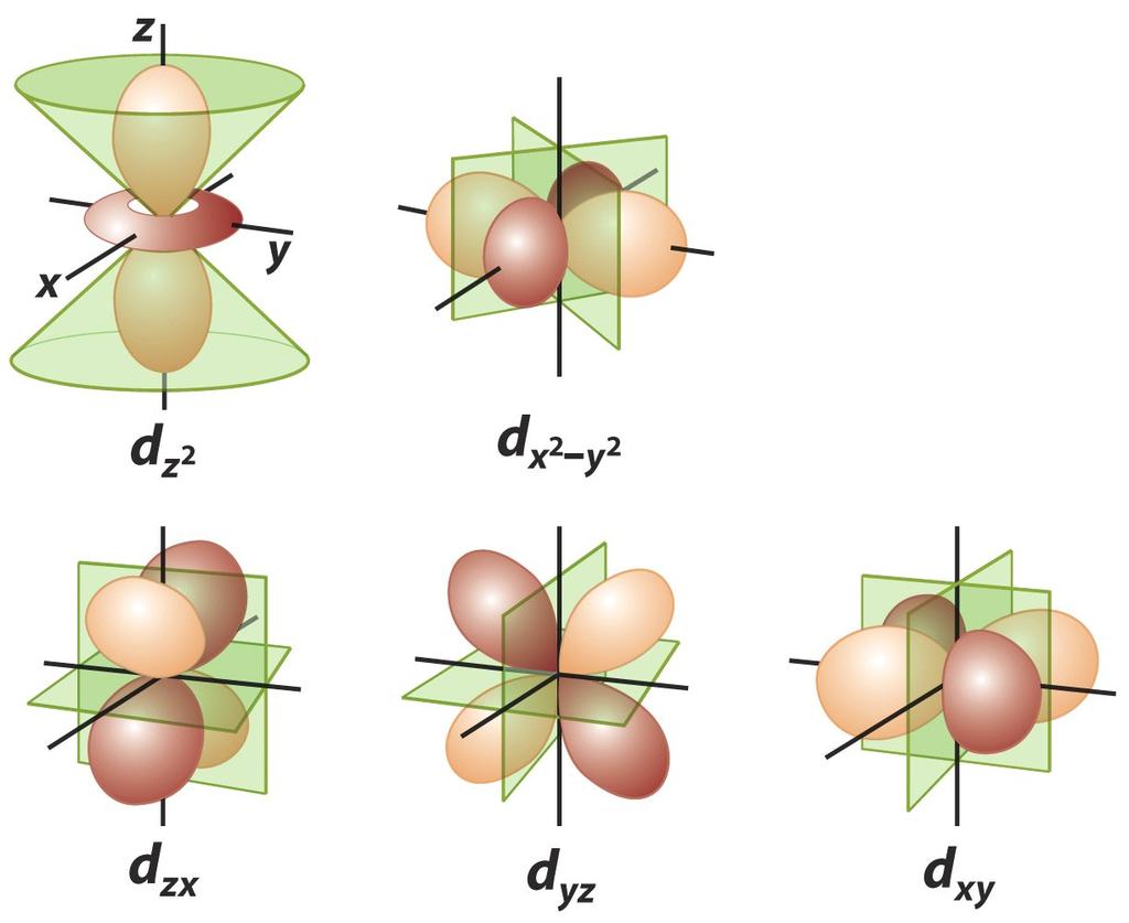 The five d-orbitals n = 3, 4, l = 2, 1, 0, -1,