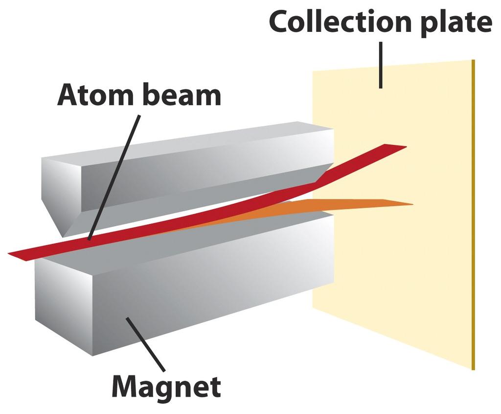Stern and Gerlach Experiment: Electron Spin Atoms with one type of electron spin