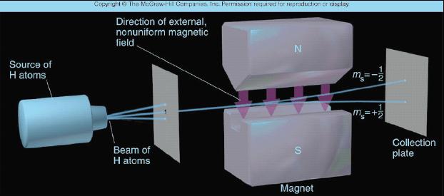 Experimental observation of the spin