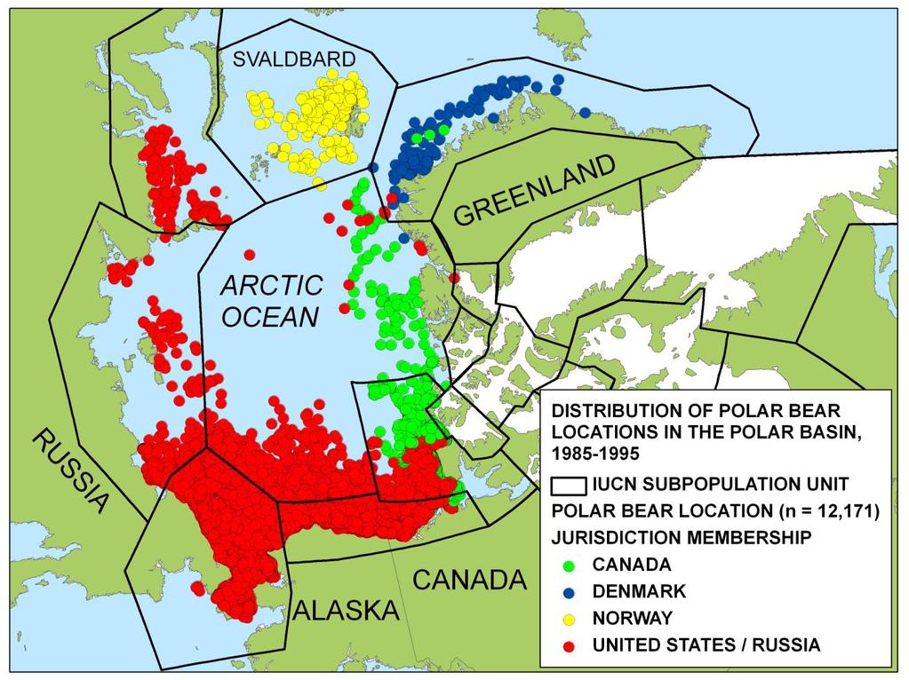 Focus: the pelagic ecoregion of the Arctic Basin Divergent ice and