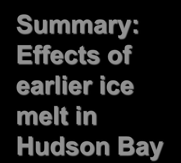 Summary: Effects of earlier ice melt