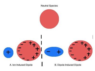 Induced Dipoles Dipole-Dipole
