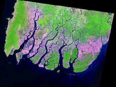 Tsunami affected area: Ayeyarwaddy Delta and Location of survey localities in March 2005 Labutta Township Pyinsalu Town