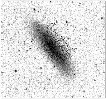 HI in NGC4522 (Virgo cluster) overlaid on R-band.