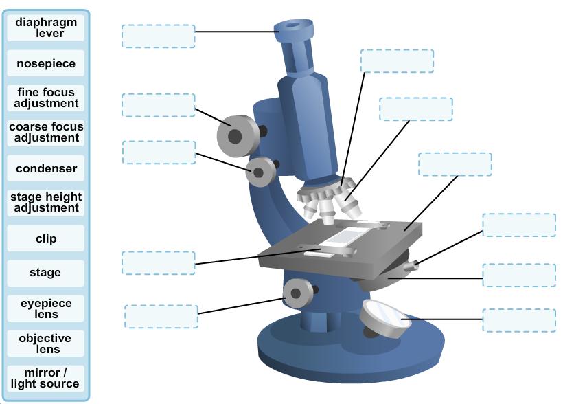 Lesson 1.1.2 (2) I will know I am successful if I can: 1. Identify all parts of a microscope 2.
