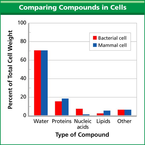 Compounds in Bacteria and Mammals Drawing Conclusions: In general, how do a bacterial cell and mammalian cell compare in their chemical composition?