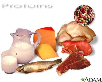 PROTEINS MEAT, POULTRY, EGGS, FISH, BEANS, NUTS MADE UP OF CARBON, HYDROGEN, OXYGEN, NITROGEN, AND SOMETIMES SULFUR.