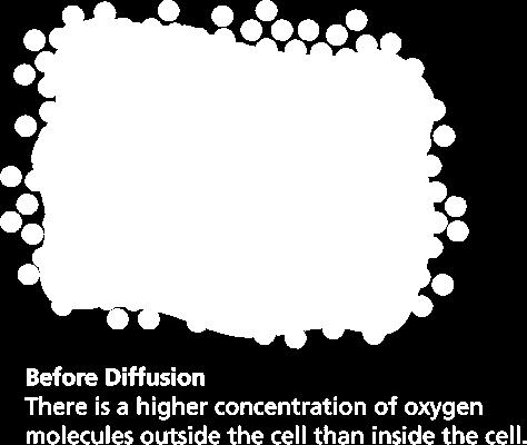 Diffusion In diffusion,