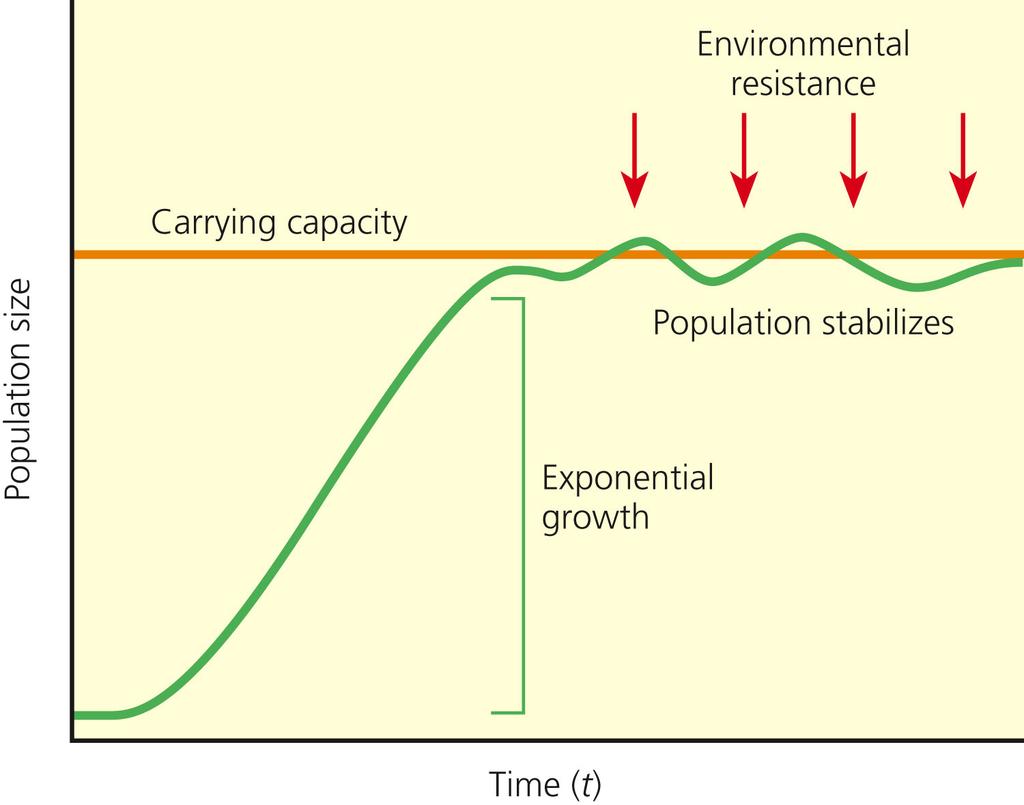 No population can grow indefinitely Logistic growth occurs when the growth rate decreases as the population becomes larger and nears the carrying capacity of its environment because resources such as