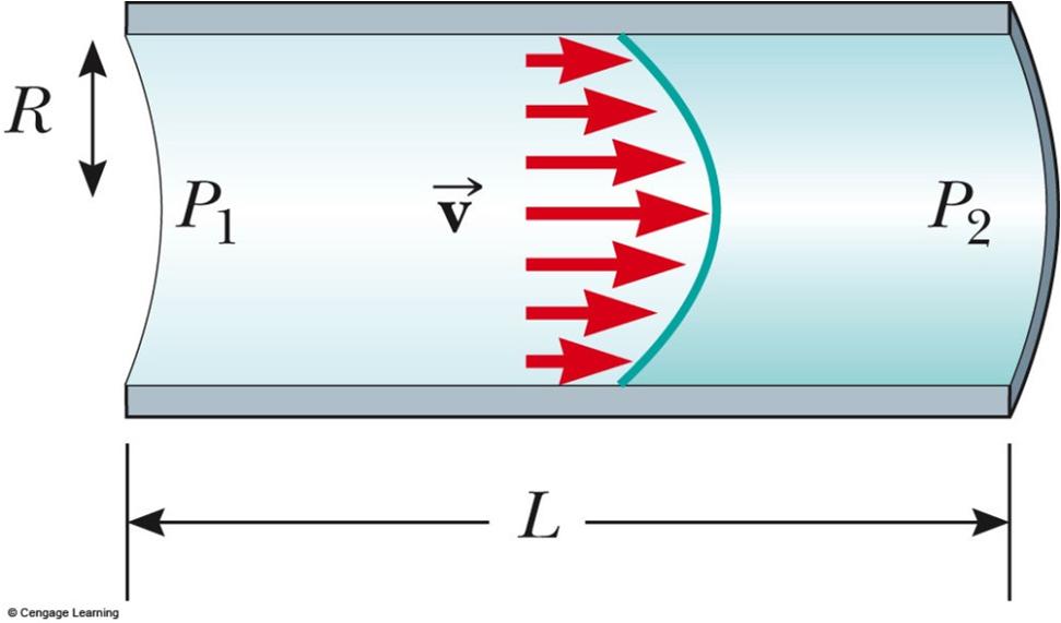 Poiseuille s Law Gives the rate of flow of a fluid in a tube