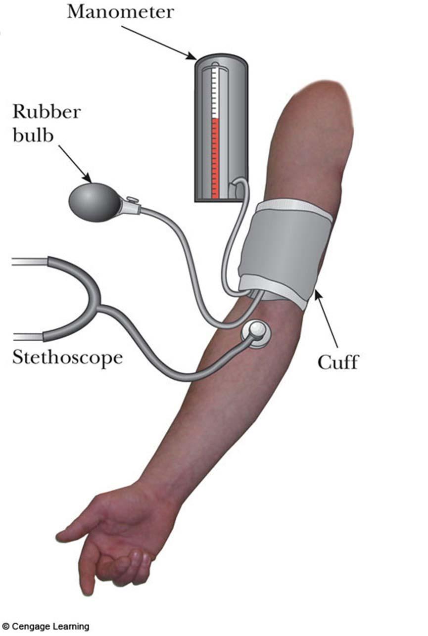 Blood Pressure Blood pressure is measured with a special type of