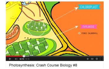 Calvin Cycle Review Photosynthesis: Crash Course Biology https://www.youtube.com/watch?v=0uzmaoaxkam http://www.uic.edu/classes/bios/bios100/lectures/calvin.htm http://www.youtube.com/watch?v=sqk3yr4sc_k (13:15 min) 53 54 Check Your Understanding 1.
