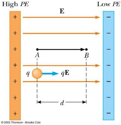 Work and Potential Energy There is a uniform field between the two plates As the charge