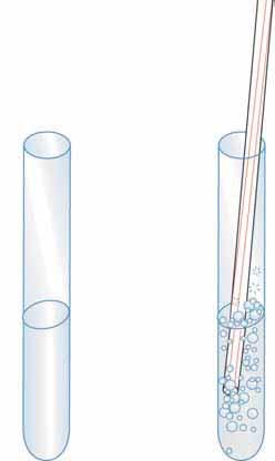 Section 2 Characteristics of Chemical Change CO 2 + limewater The test for carbon dioxide uses limewater, a clear, colorless solution of calcium hydroxide in water.