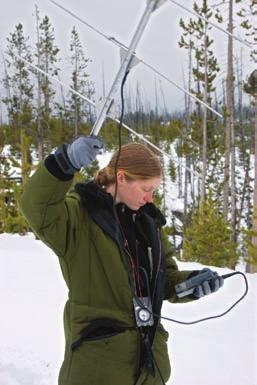 FIGURE 1.3 Much of the data gathered by ecologists results from long hours of observation in the field. This ecologist is using radio telemetry to track gray wolves.
