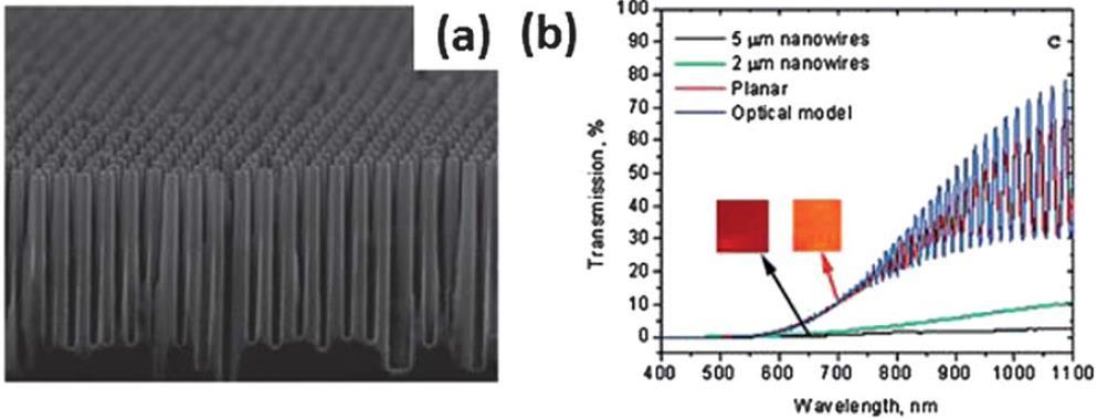 Nanowires (NWs) Si NWs fabricated by deep reactive ion etching (DRIE) using a monolayer film of silica beads as a mask.