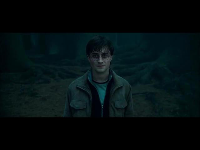Harry Potter and the Deathly Hallows Plot: Harry, Ron and Hermione set out on a quest to find and destroy the horcruxes within which Voldemort has hidden pieces of his soul.
