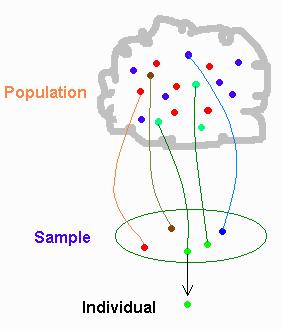Parameter versus statistic Population: the entire group of individuals in which we are interested but can t usually assess directly.