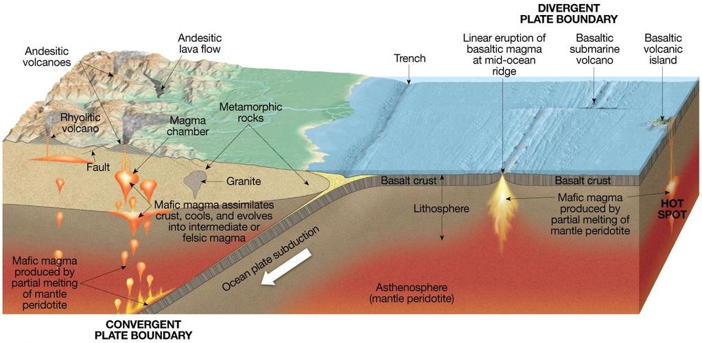 Q2. Based on figure 2, name the igneous rock types that form in the given tectonic and geologic environments. Figure 2. Tectonic environments where igneous rocks form.