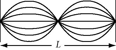 Name: 81. The standing wave shown in the diagram above would be produced on a string of length L by a wave having wavelength a. 1/2 L. c. 2 L. b. L. d. 4 L. 82.