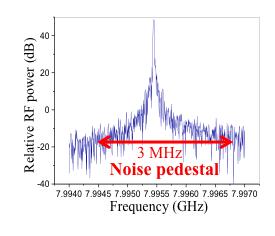 Origin of the noise pedestal in the beatnote spectrum?