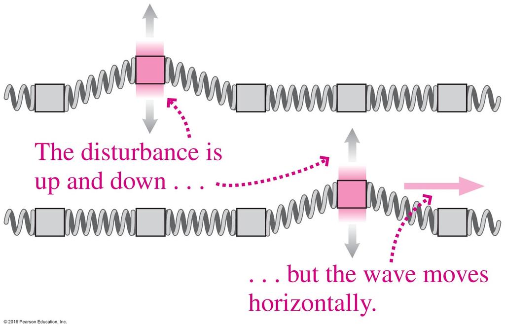 Transverse Waves: disturbance is