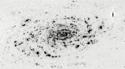 NGC 5055 (Dale et al.