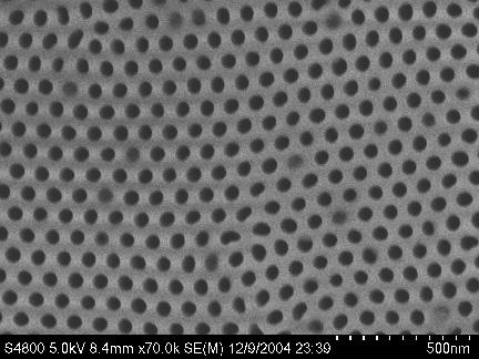 and Arrays top view of PAA with 50 nm pores
