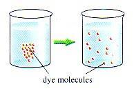 2. Osmosis: Osmosis is the movement of from a high concentration to a low concentration across a semipermeable