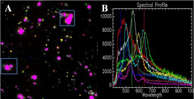 Enhanced dark-field microscopy with hyperspectral imaging Figure S11.