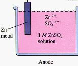 Standard Electrode Potential How is E red (Cathode) and E red (Anode) determine.