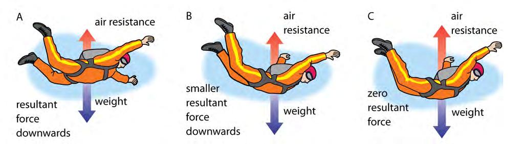 These pictures show the different stages of a skydiver s free fall experience. Part A shows the increasing velocity due to the high acceleration in the early stages.