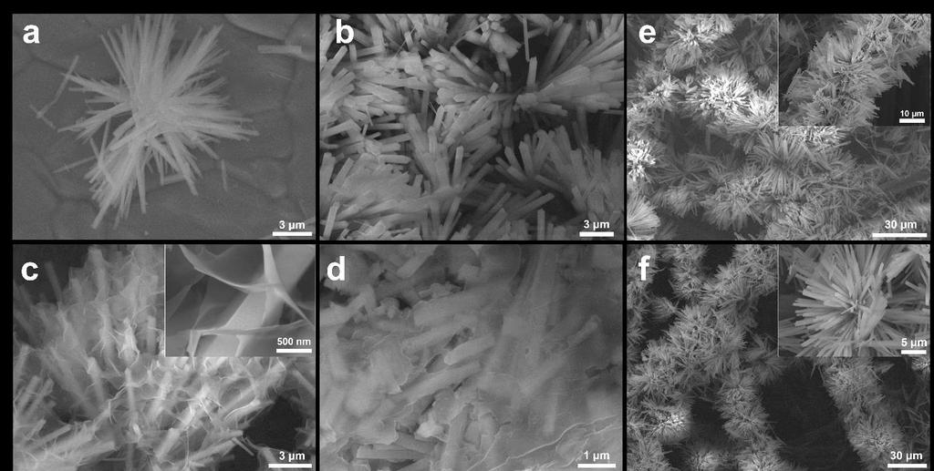 b) TEM image of a single nanorods with nanoflakes and (c,d) HRTEM images with