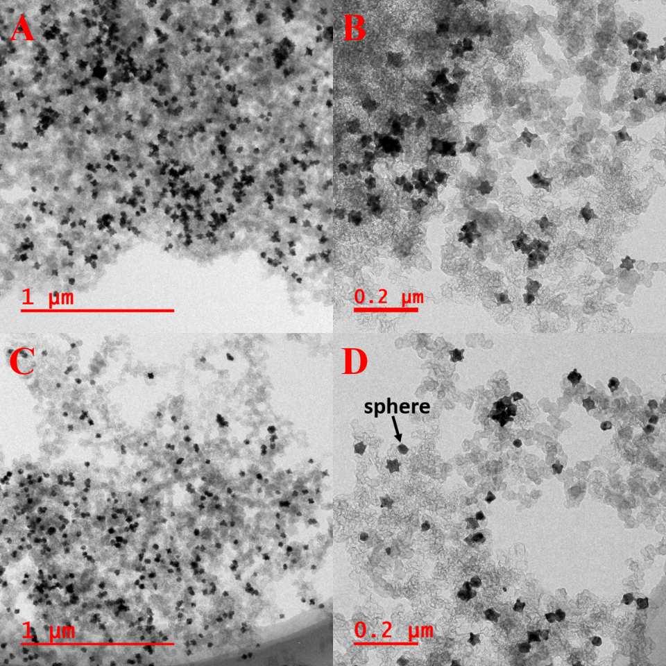Figure S6 TEM images of the nanoparticles synthesized by different initial temperature. (A) and (B) images of sample T21/2-25/2. (C) and (D) images of sample T25/4.