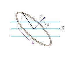 The magnetic dipole (What is the most elementary unit of magnetism) A circular loop of a conductor carrying an electric current, which can generate a magnetic field.