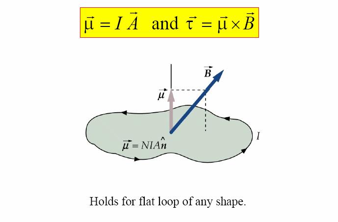 Foce and Toque on a Cuent Loop Plane of loop : magnetic