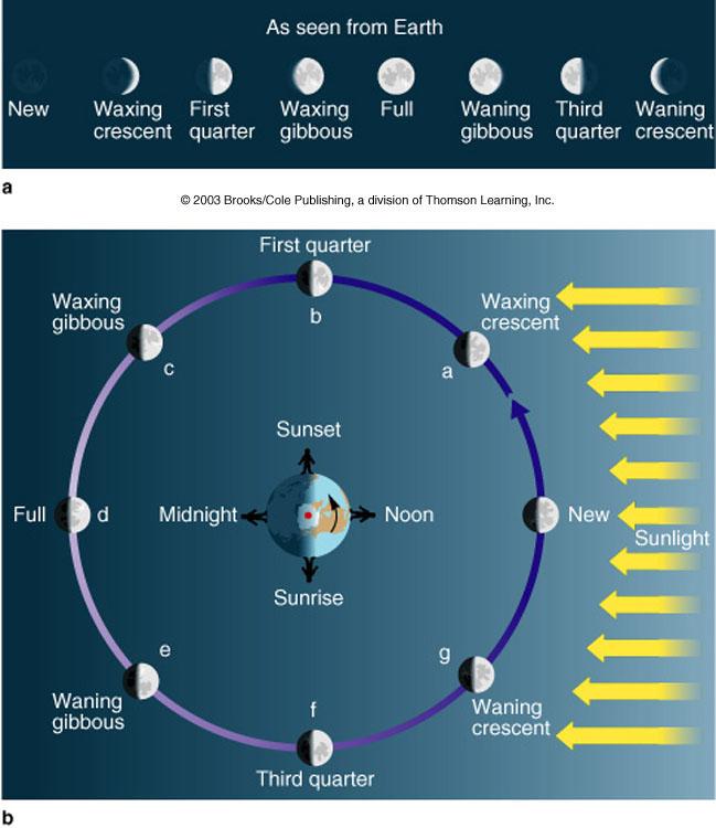The Phases of the Moon (I) As the Moon