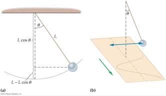The Simple Pendulum The gravitational force acting on a mass m on a string with length of L, when it is displaced a small distance s from its equilibrium position, has an approximate