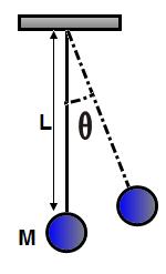 16. A simple pendulum consists of a mass M attached to a vertical string L. When the string is displaced to the right the ball moves up by a distance 0.2 m.