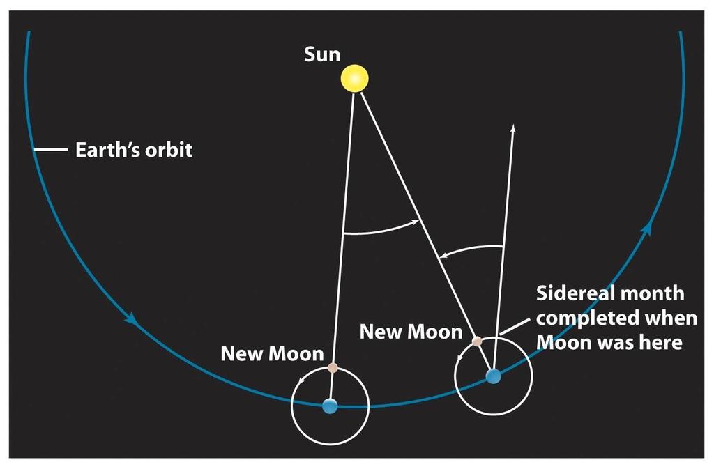 Lunar and Sidereal Months The synodic or lunar month is the time (approximately 29½ days) between identical phases of the moon; e.g.
