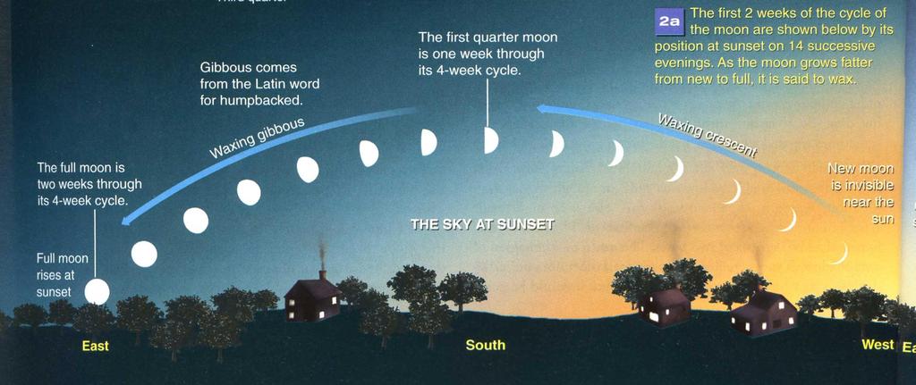 Sky at Sunset The Moon s position at sunset is shown for 14 evenings, beginning at the new moon and ending at the full