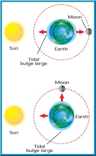 Earth s Moon 3 Tides The Sun is much farther. Because of this, the Moon has greater effect on Earth s tides than the Sun.