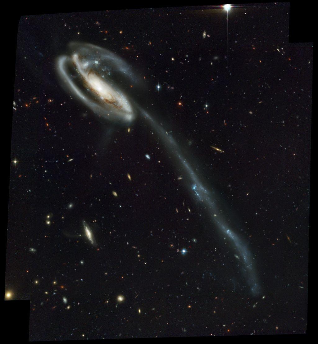 Galaxy collisions & transformations Irregular/peculiar galaxy