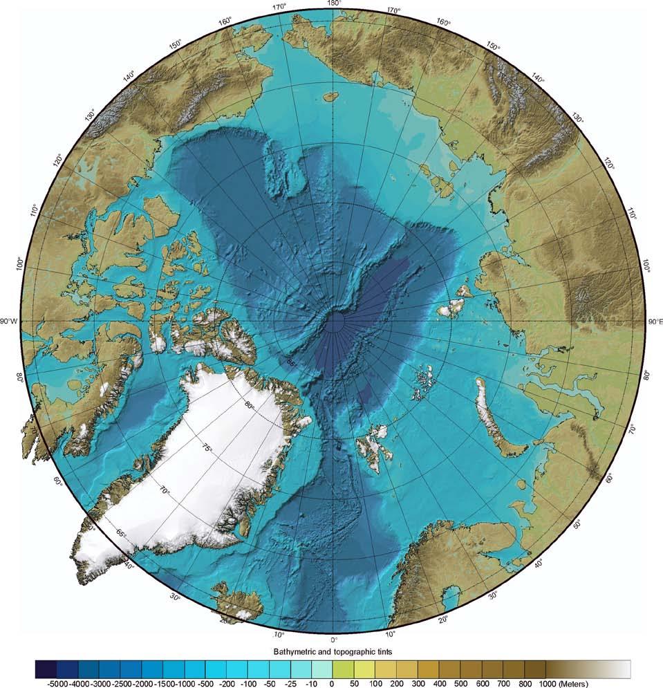 THE INTERNATIONAL BATHYMETRIC CHART OF THE ARCTIC OCEAN (IBCAO) Launched in 1997 in