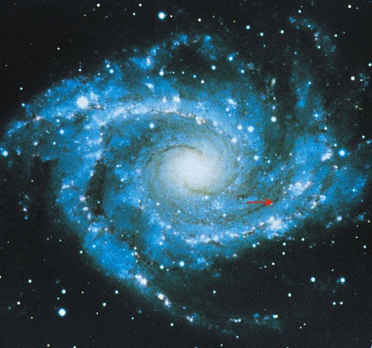 If you expand your field of view by a factor of 100, you see our galaxy a disk of stars about 75,000 ly in diameter.