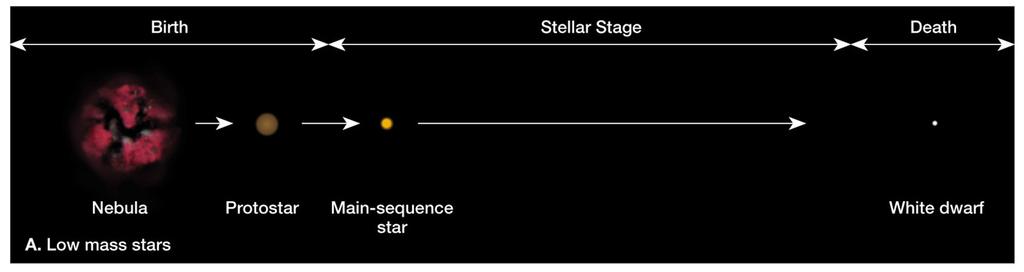 Stellar Evolution Burnout and death Final stage depends on mass