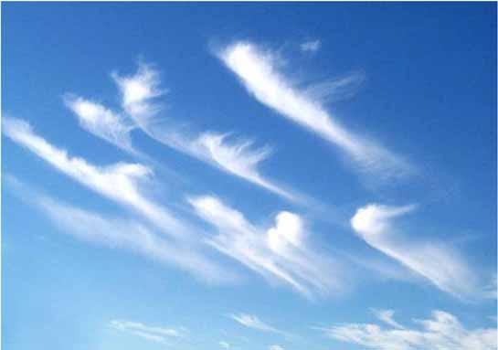 Poll question What type of cloud is illustrated